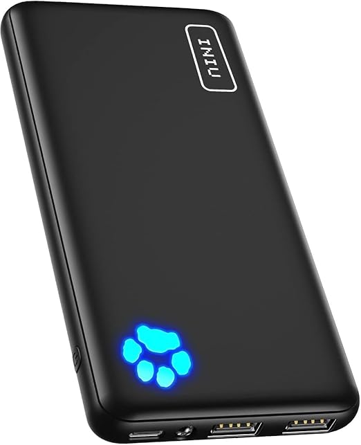 INIU Portable Charger product photo