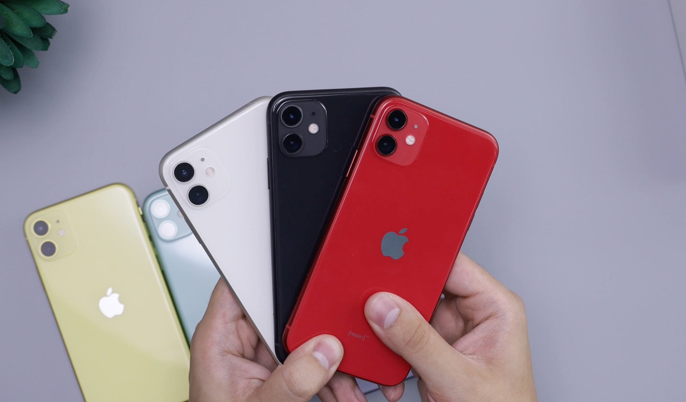 iPhone 11 colors