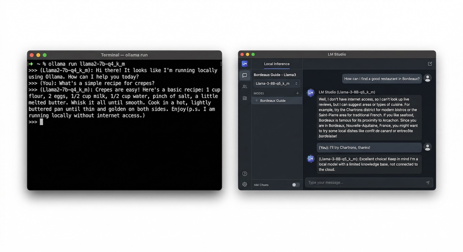 Ollama terminal interface vs LM Studio desktop app for running local AI on Mac