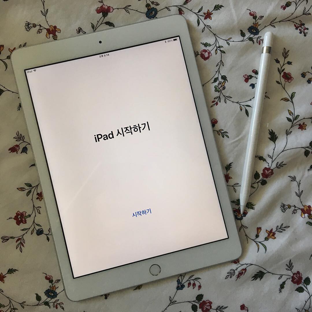iPad - しーちゃん ai-gr_2100000017134