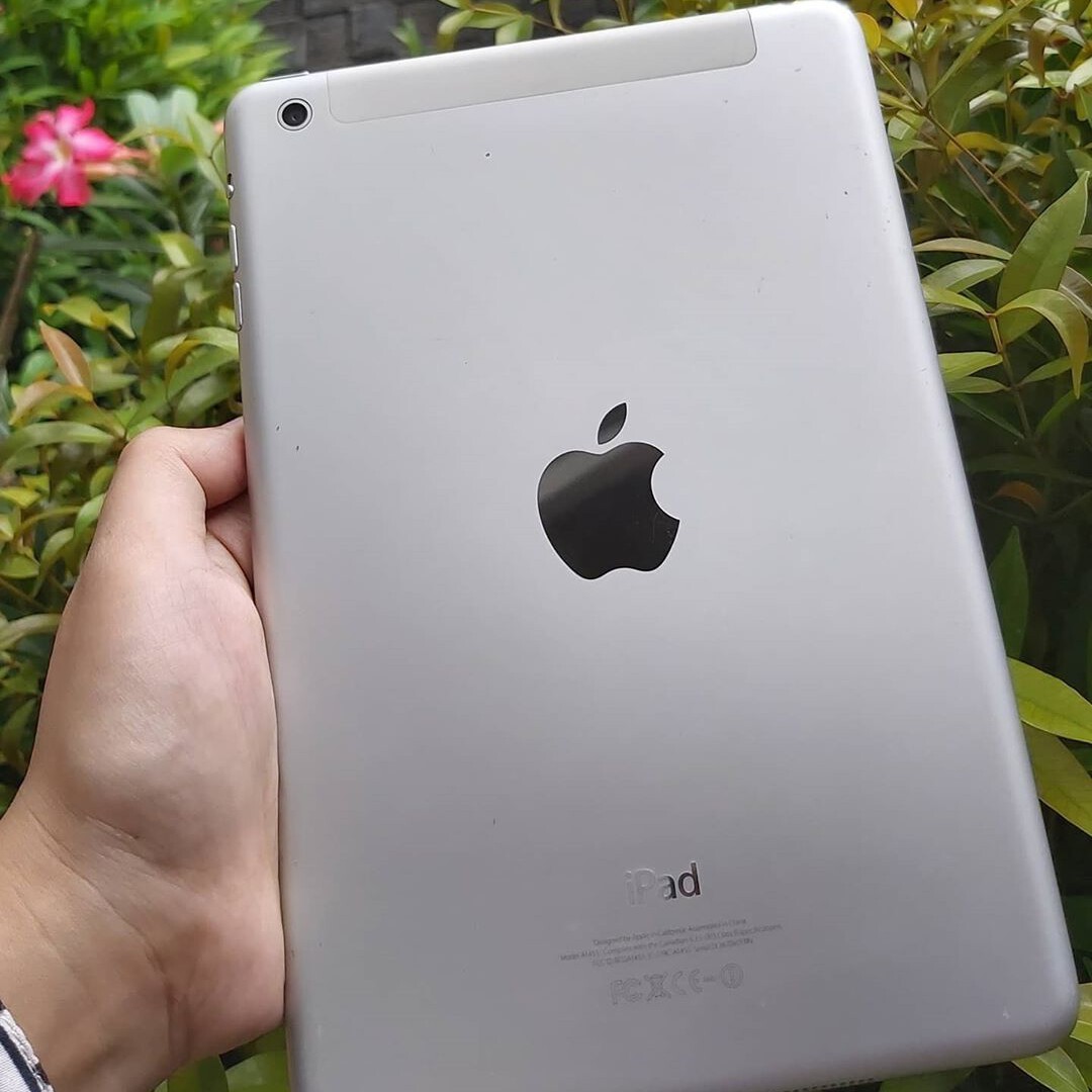 iPad mini 1 Specs and Monitoring - MD543