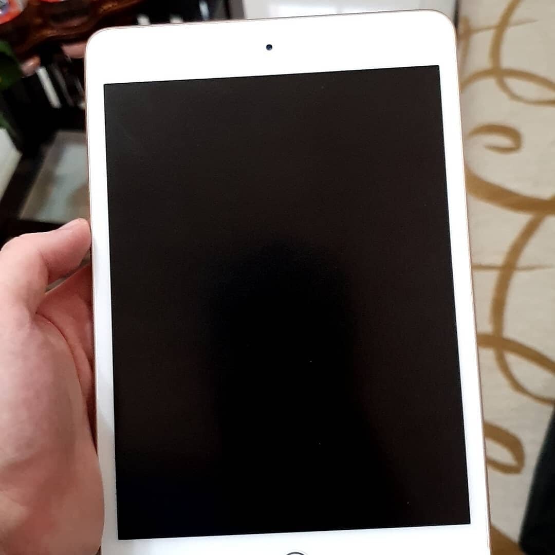 iPad mini 5 Specs and Prices - MUU62