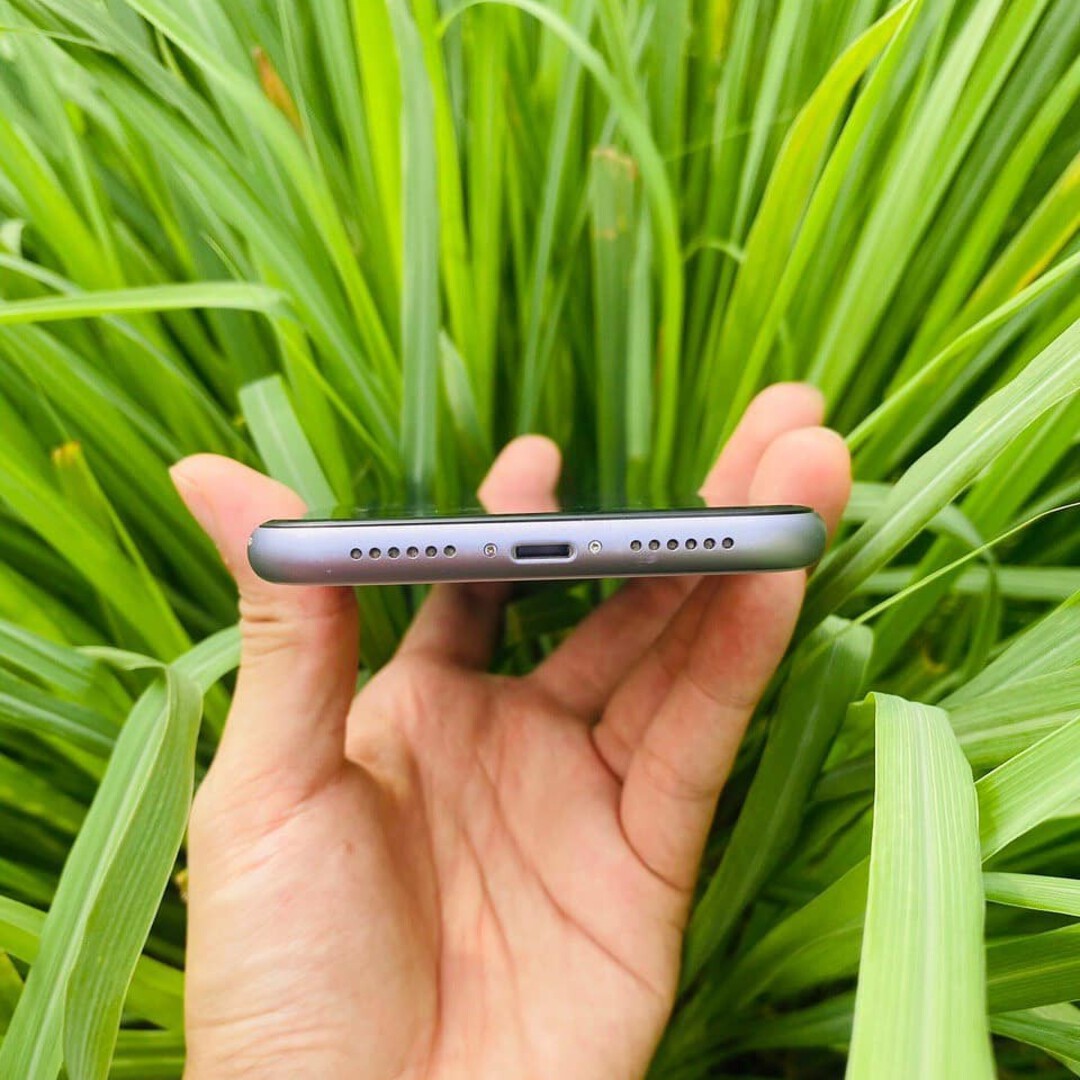 iphone-11-purple-f965a7b.jpg