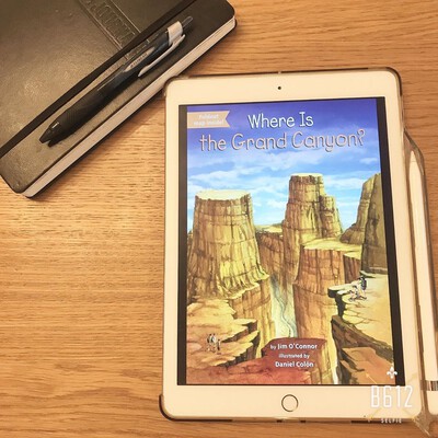 ipad 6 cellular gol