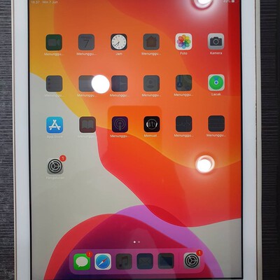 ipad 6 cellular gol