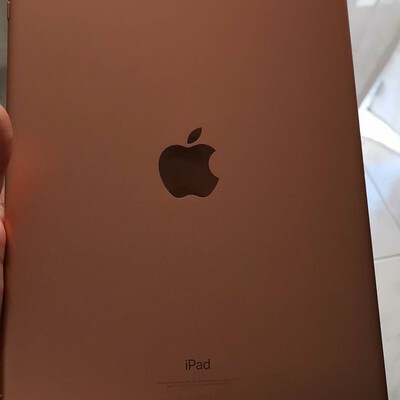 ipad 7 cellular gol
