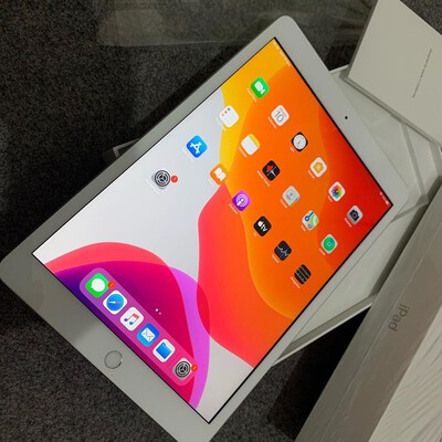 ipad 7 cellular silve