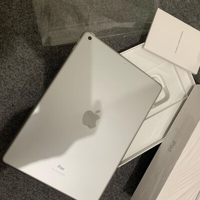 ipad 7 cellular silve