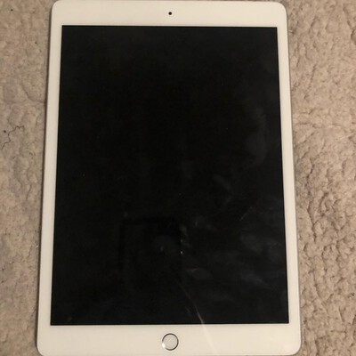 ipad 7 cellular silve