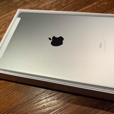 ipad 7 cellular silve