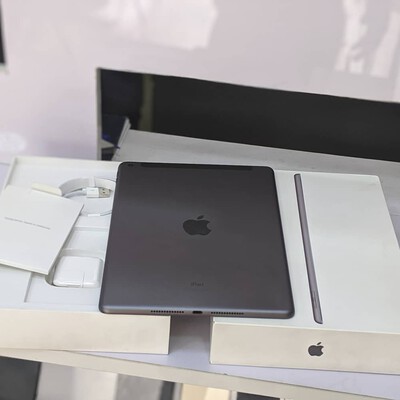 ipad 7 cellular space gra