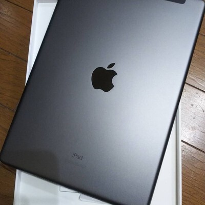 ipad 7 cellular space gra