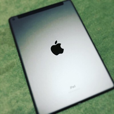 ipad 7 cellular space gra