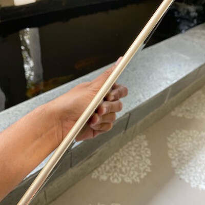 ipad air 2 cellular gol