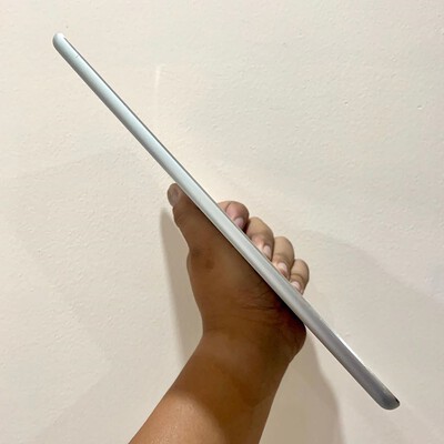 ipad air 2 cellular silve