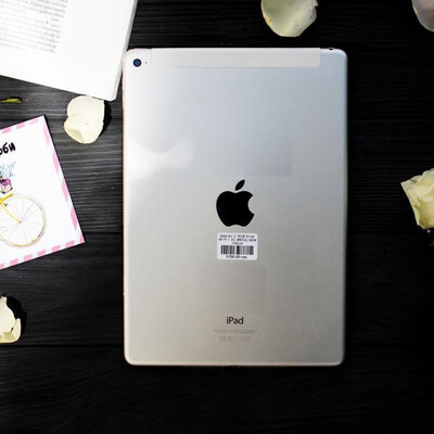 ipad air 2 cellular silve