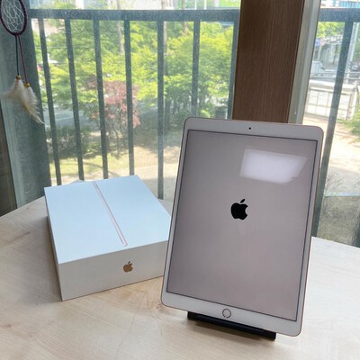 ipad air 3 cellular silve
