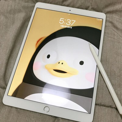 ipad air 3 cellular silve