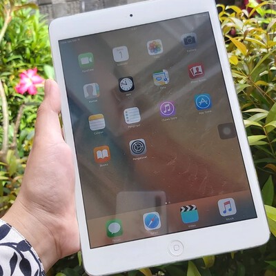 ipad mini 1 cellular silve