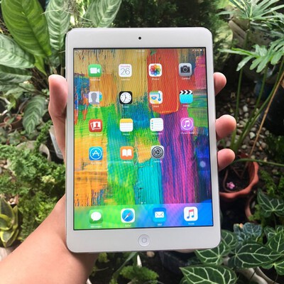 ipad mini 1 cellular silve