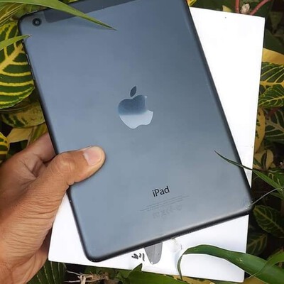 ipad mini 1 cellular space gra