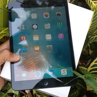 ipad mini 1 cellular space gra