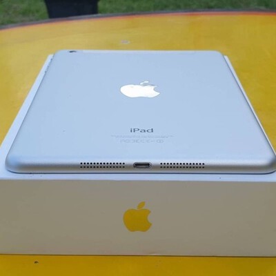 ipad mini 2 cellular silve