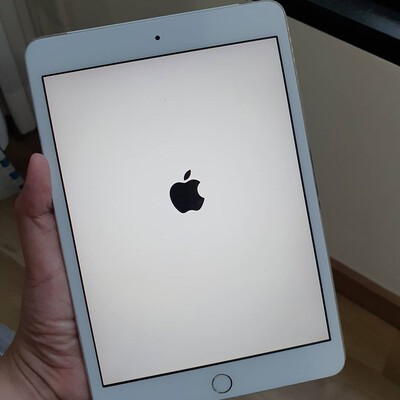 ipad mini 3 cellular silve