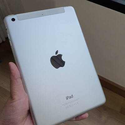ipad mini 3 cellular silve
