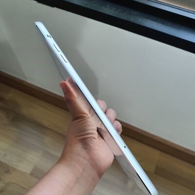 ipad mini 3 cellular silve