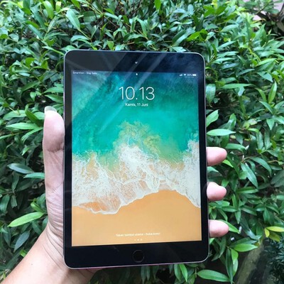 ipad mini 3 cellular space gra