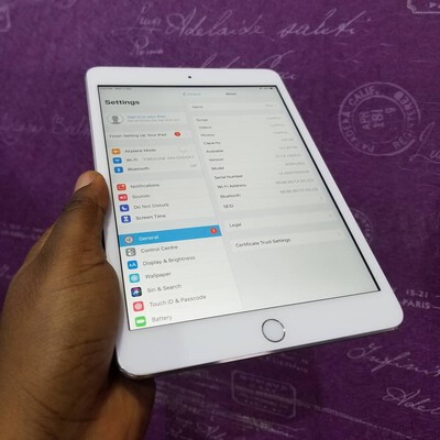 ipad mini 3 silve