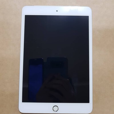 ipad mini 4 cellular silve