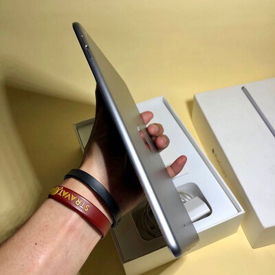 ipad mini 4 cellular space gra