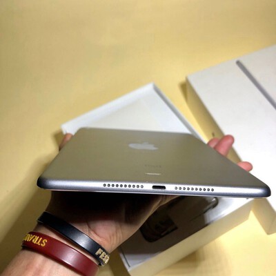 ipad mini 4 cellular space gra