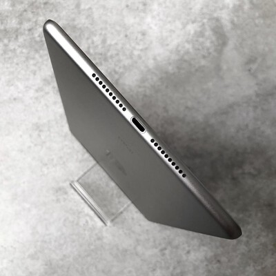 ipad mini 4 cellular space gra