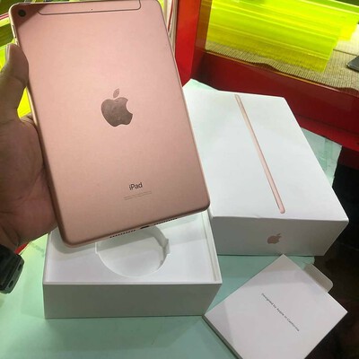 ipad mini 5 cellular gol