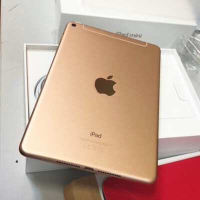 ipad mini 5 cellular gol