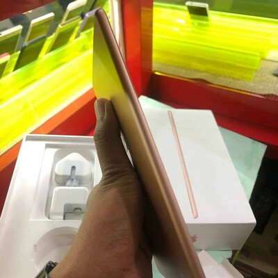 ipad mini 5 cellular gol