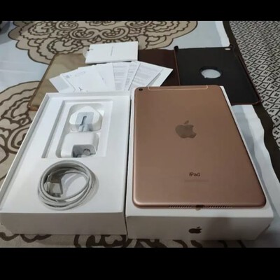 ipad mini 5 cellular gol