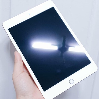 ipad mini 5 cellular gol
