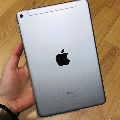 ipad mini 5 cellular silve