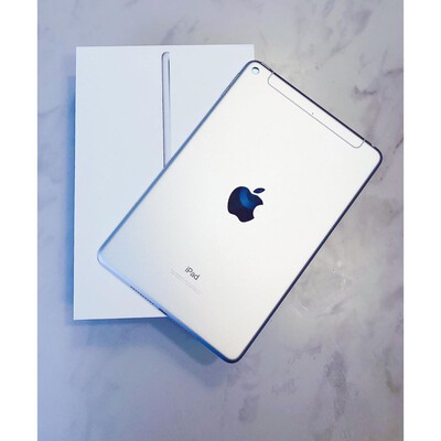 ipad mini 5 cellular silve