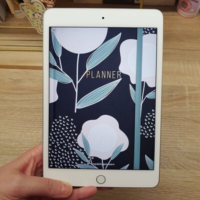 ipad mini 5 cellular silve