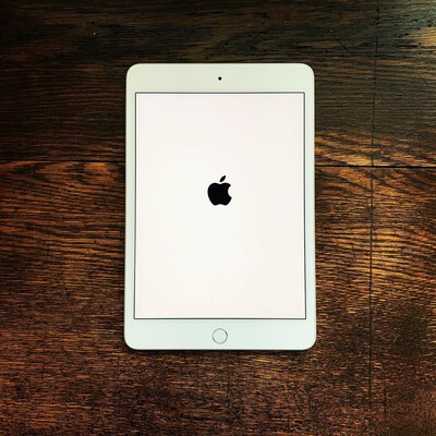 ipad mini 5 cellular silve