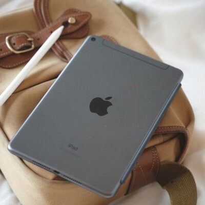 ipad mini 5 cellular space gra