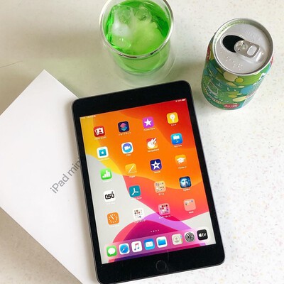ipad mini 5 cellular space gra