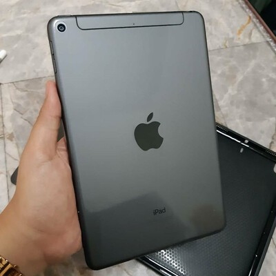 ipad mini 5 cellular space gra