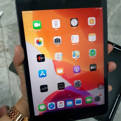 ipad mini 5 cellular space gra