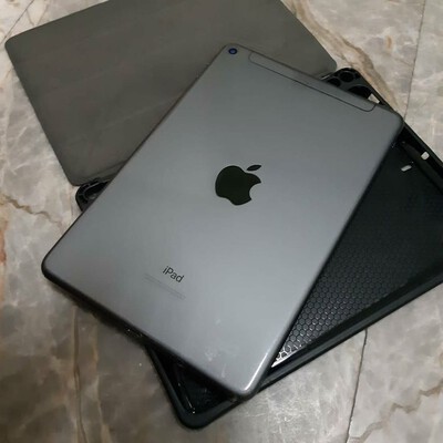 ipad mini 5 cellular space gra